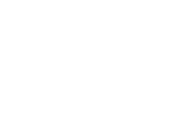 Member of the Dutch Institute of Psychologists (NIP)